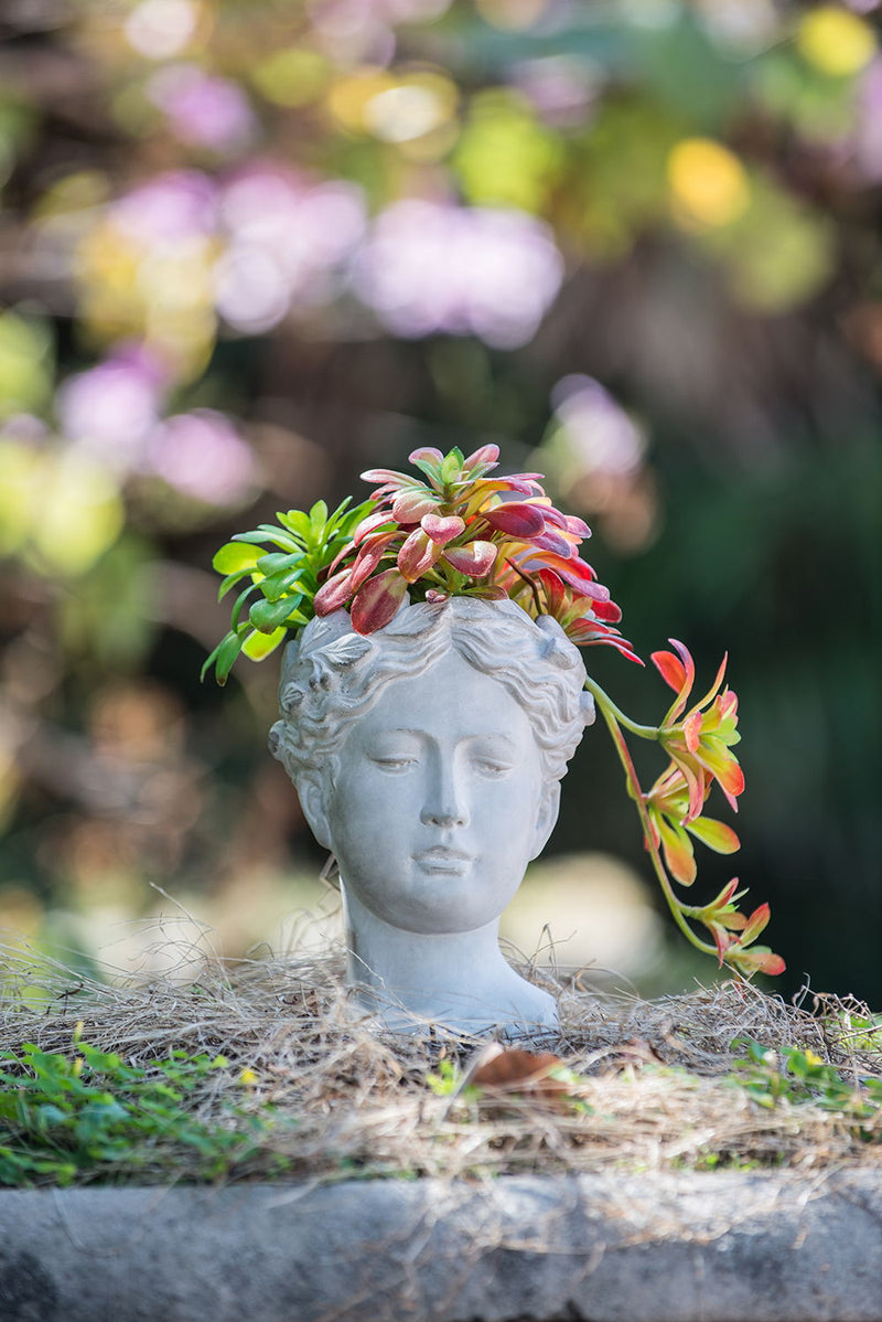 Greek Style Cement Head Planter Indoor Outdoor Home Garden Decor - Gray