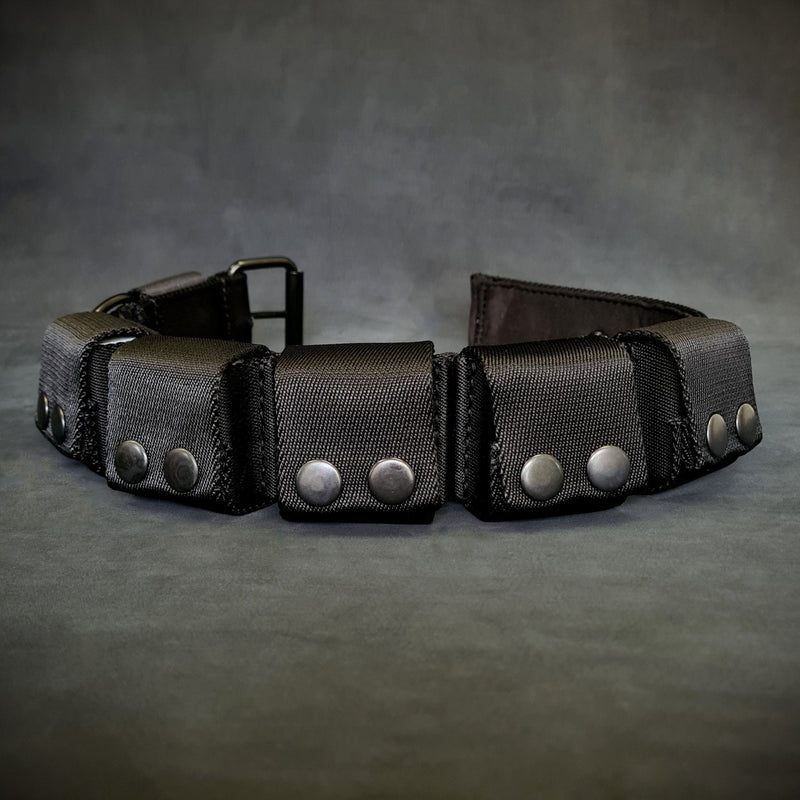 BESTIA DOG SPORT Weighted Dog Training Collar