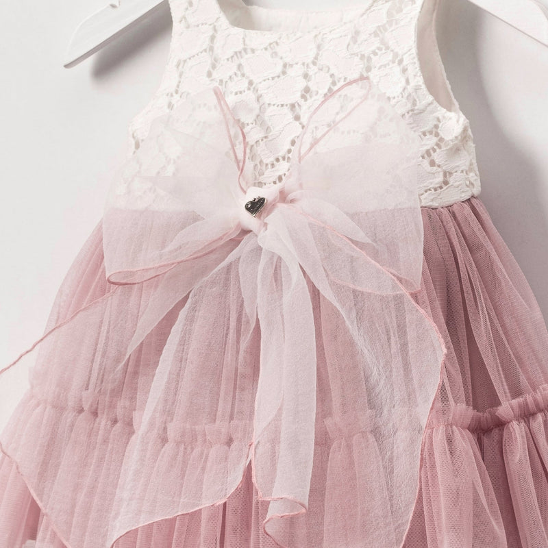 Blush Lace & Tulle Baby Dress
