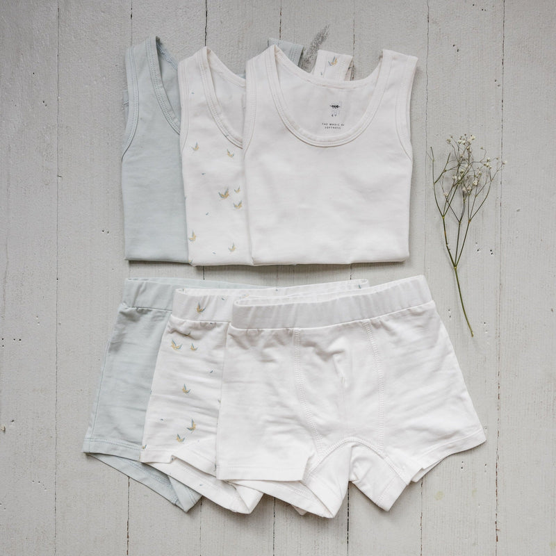 Boy's Undies Set-Shorts