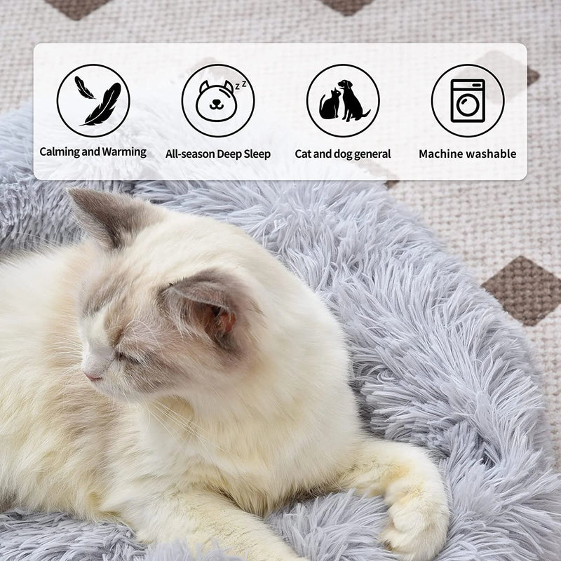 Cat Bed for Indoor Cats and small dogs