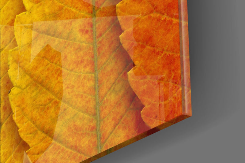 Autumn Leaves Glass Wall Art
