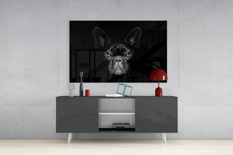 Dog Glass Wall Art