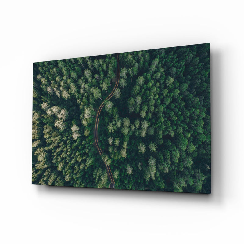 Forest Glass Wall Art