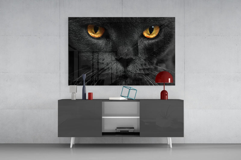 Cat Glass Wall Art