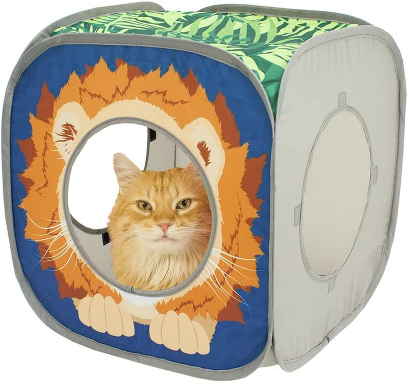 Collapsible Cat Cube
