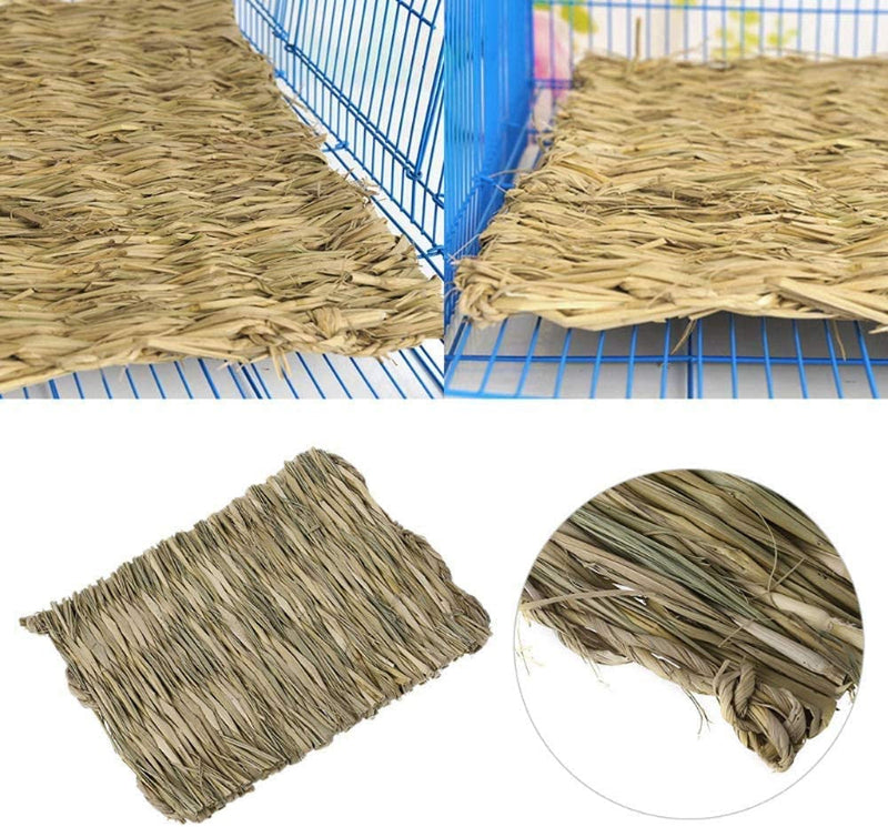 The Ultimate Chew-athon: 12 Grass Mats for Your Furry Friends' Snack Time and Nap Zone!