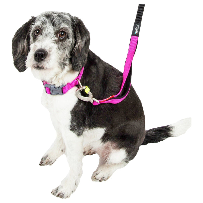 Dog Helios ® 'Neo-Indestructible' 2-in-1 Accordion Dog Collar and Leash