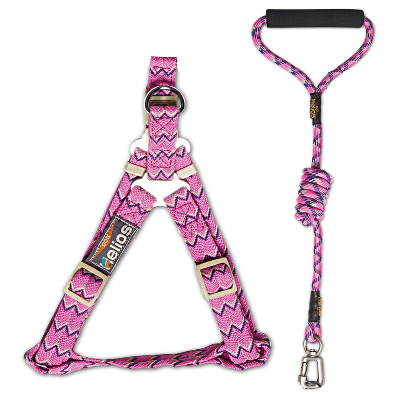 Dog Helios 'Surfside' Adjustable Dog Harness and Leash
