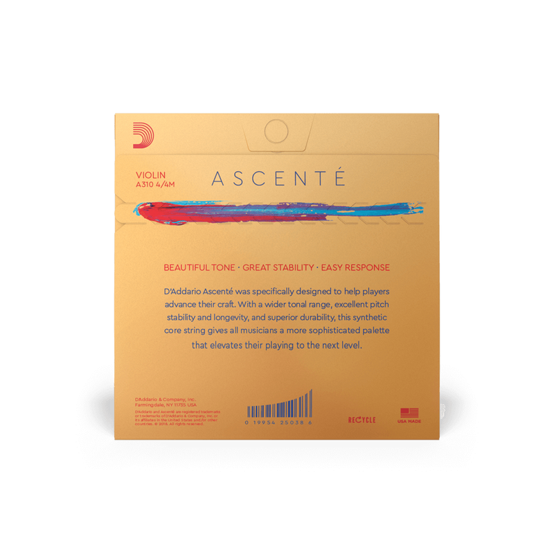 Violin - Ascente Strings