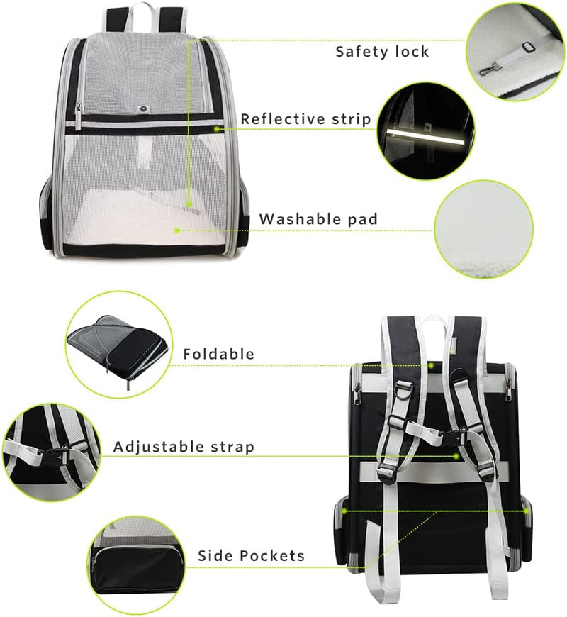 Bubble Backpack Pet Carriers for Cats and Dogs