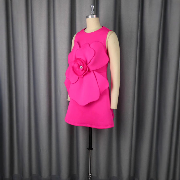 Lady Temperament Round Neck Sleeveless Dress