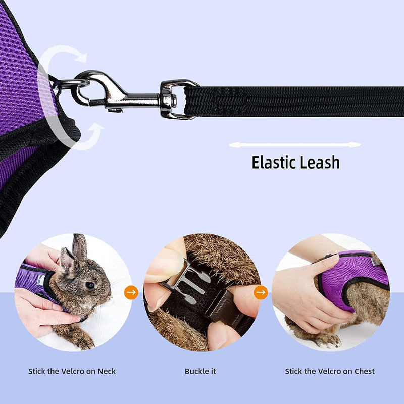 Adjustable Soft Harness with Elastic Leash for Rabbits (M, Pink)