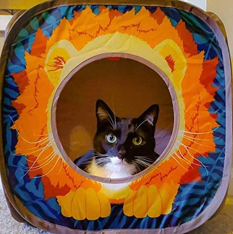 Collapsible Cat Cube