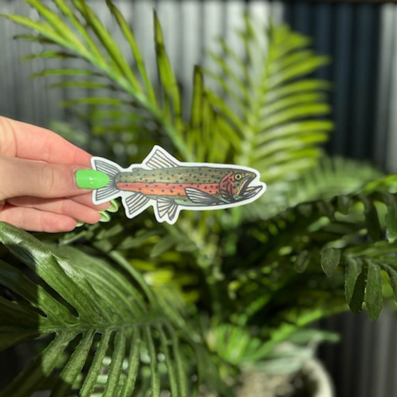 LMSS® STICKER - Rainbow Trout