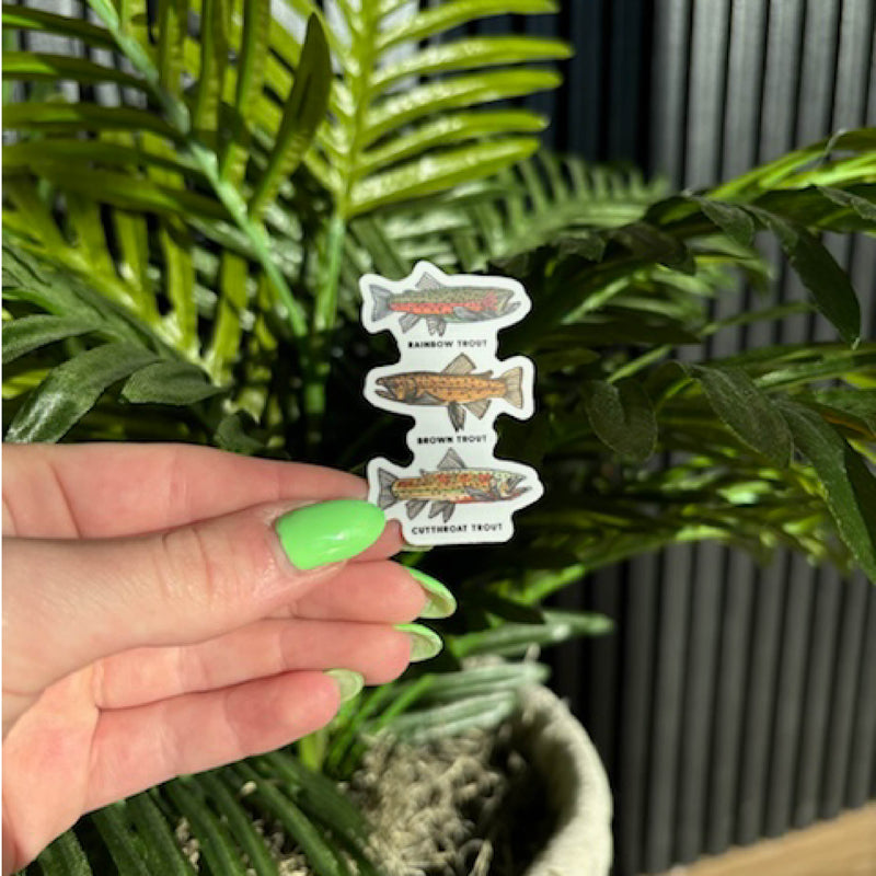 LMSS® STICKER - Trout Chart - Hand Drawn