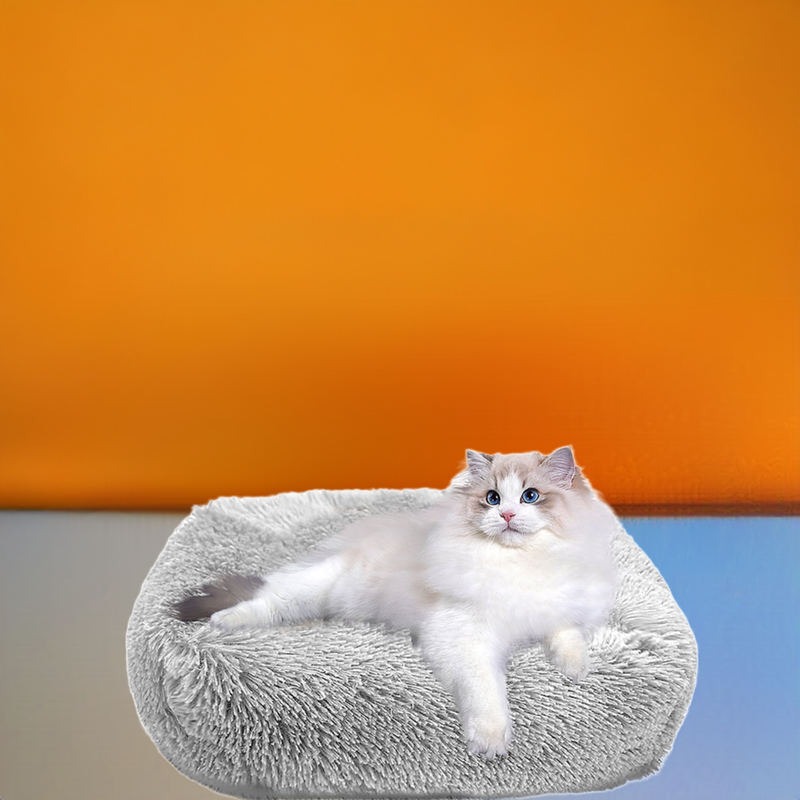 Cat Bed for Indoor Cats and small dogs