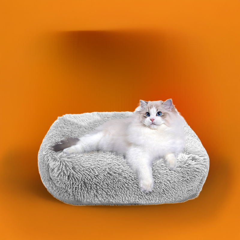 Cat Bed for Indoor Cats and small dogs