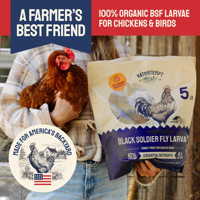 Dried Black Soldier Fly Larvae for Chickens