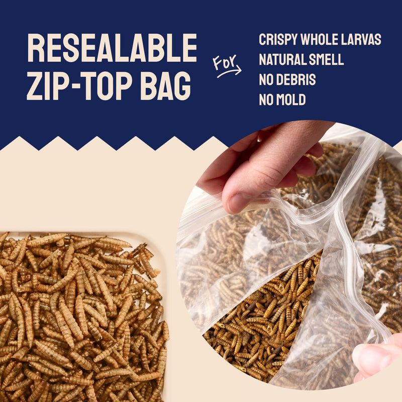 Dried Black Soldier Fly Larvae for Chickens