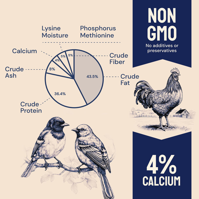 Dried Black Soldier Fly Larvae for Chickens