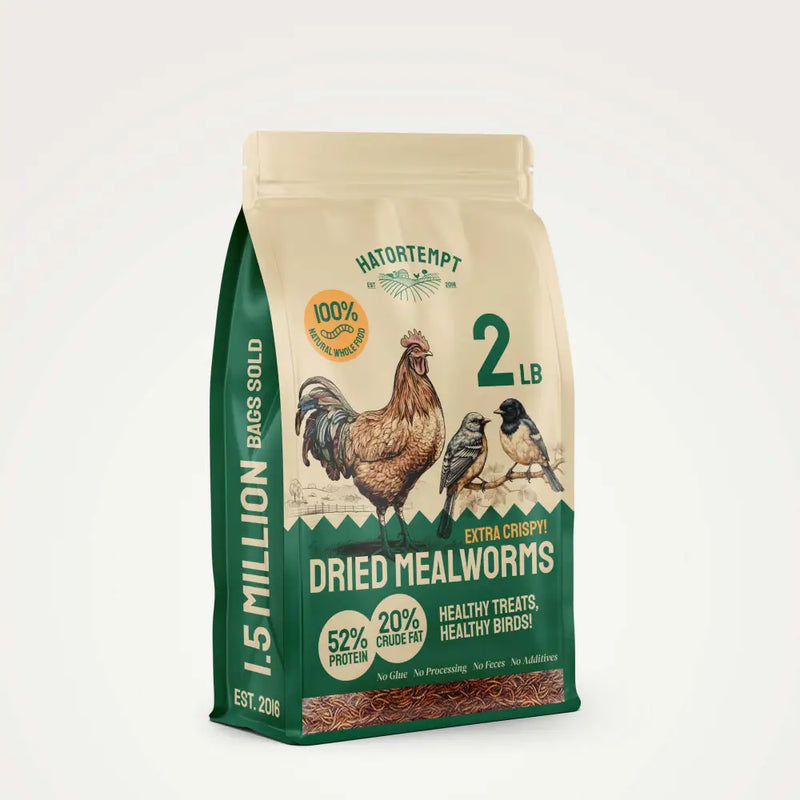 Dried Mealworms For Chickens