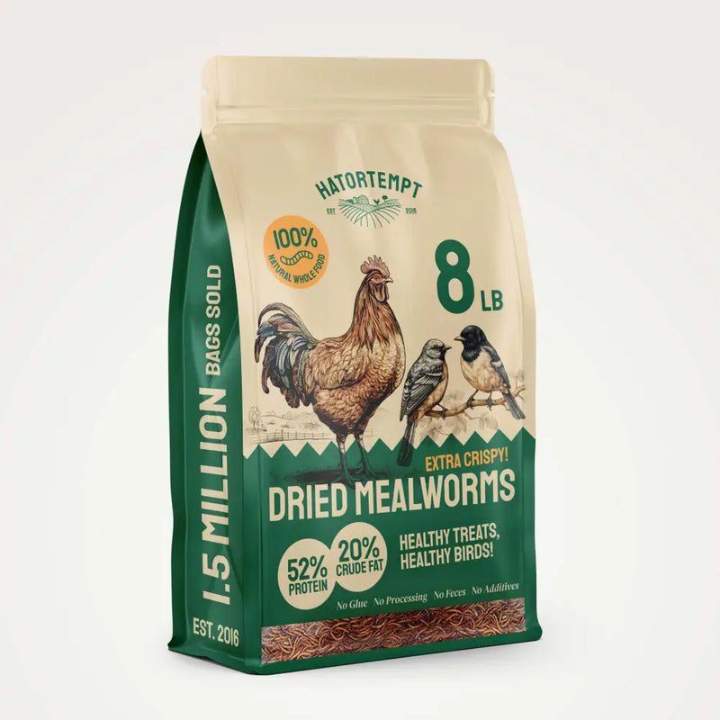 Dried Mealworms For Chickens
