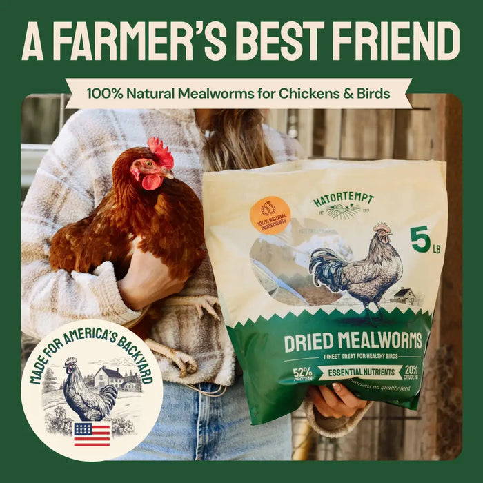 Dried Mealworms For Chickens