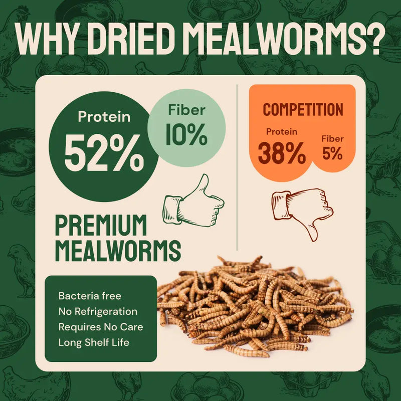 Dried Mealworms For Chickens