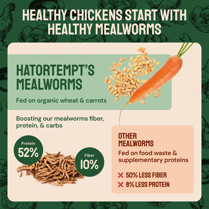 Dried Mealworms For Chickens
