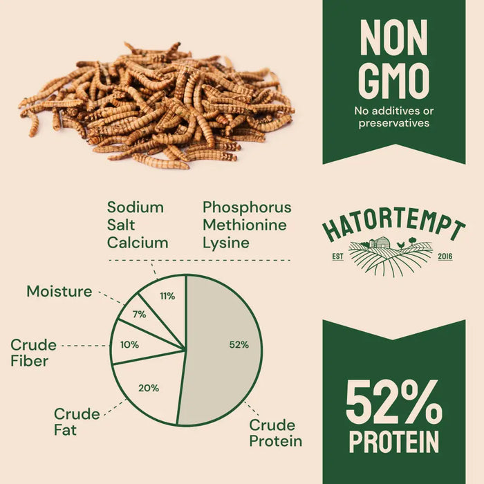 Dried Mealworms For Chickens