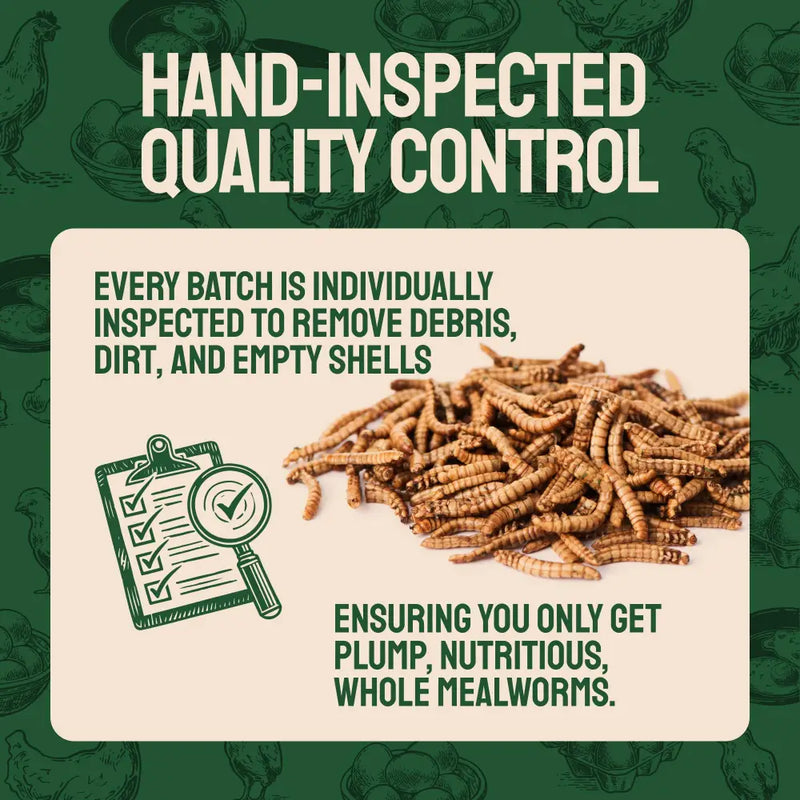 Dried Mealworms For Chickens