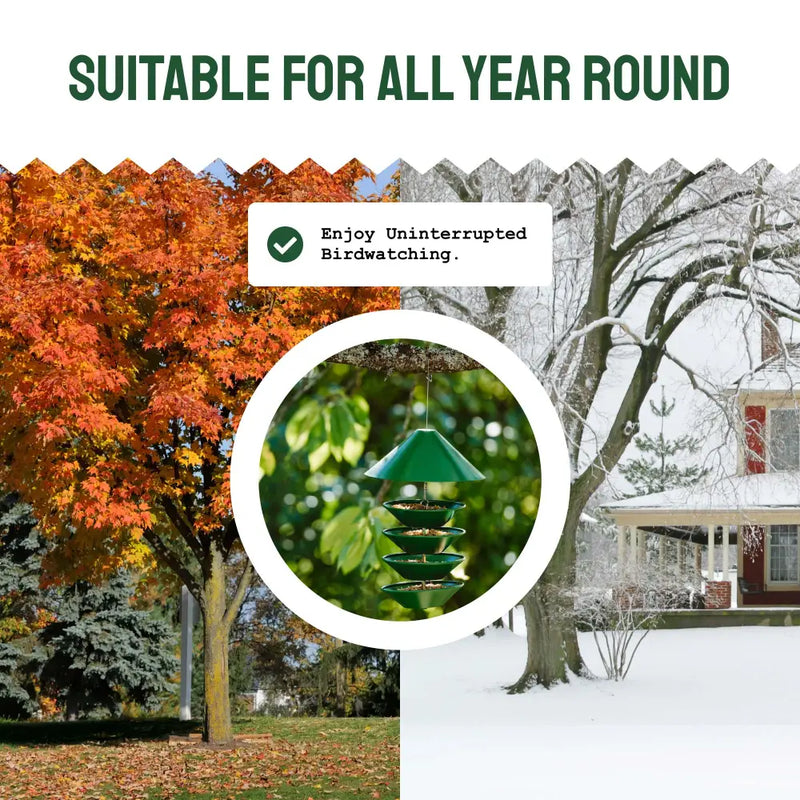 Squirrel-Proof Metal Bird Feeder (Hanging)