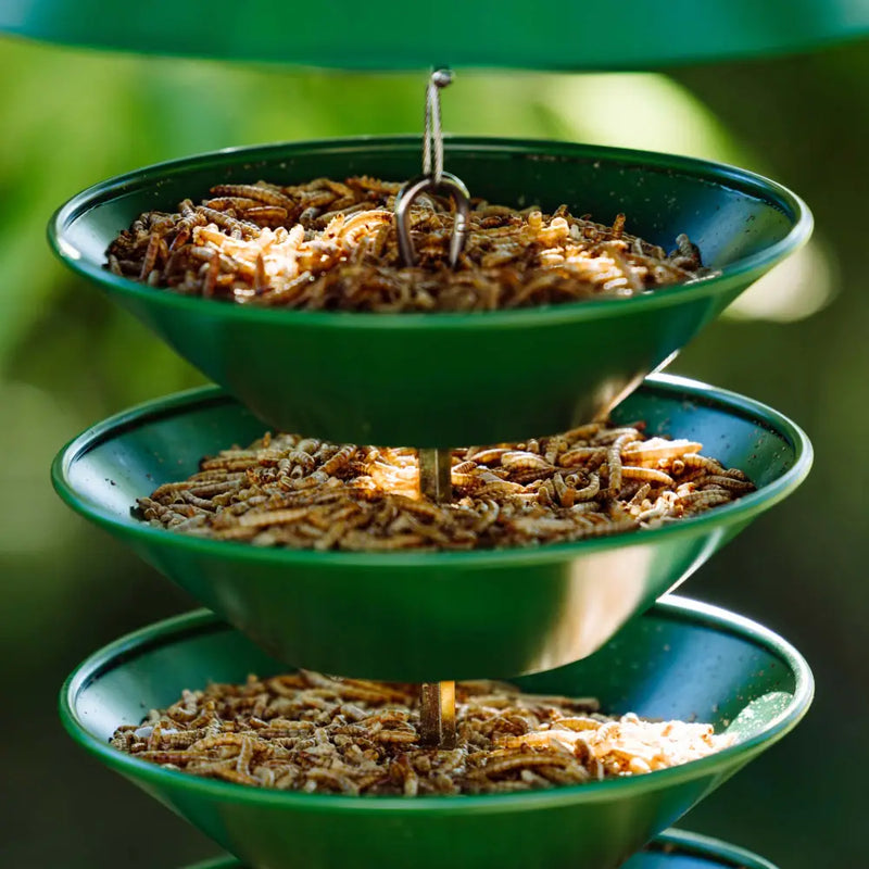 Squirrel-Proof Metal Bird Feeder (Hanging)