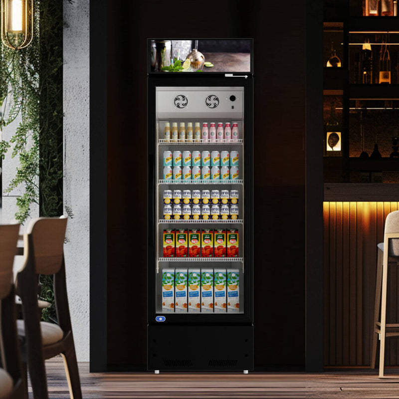 Heavy-Duty Commercial Single Glass Door Refrigerator With LED Lights, 23" (SAK43533)