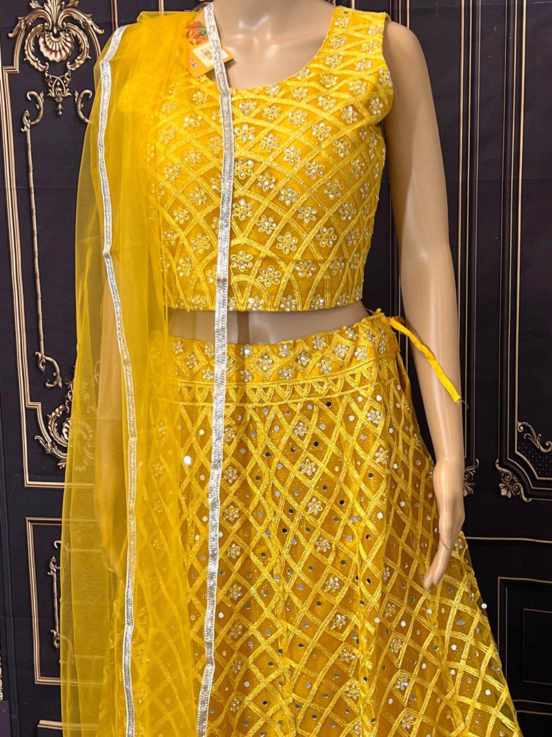 Party wear lehenga Choli set