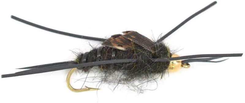 Basics Collection - Kaufmann's Tungsten Stonefly Nymphs 10 Flies  #4-12