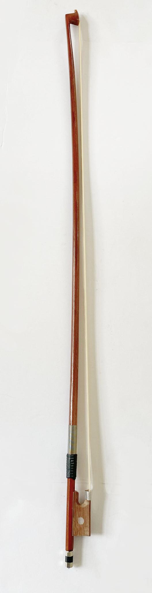 Floral Delight Violin Outfit