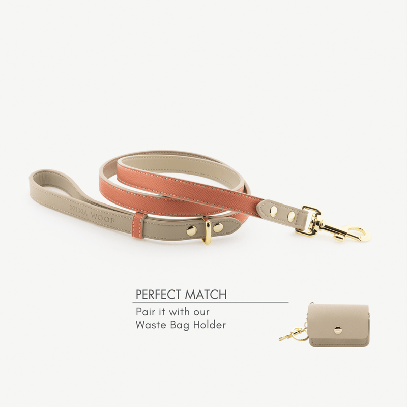 Leash 4ft - Vegan Leather