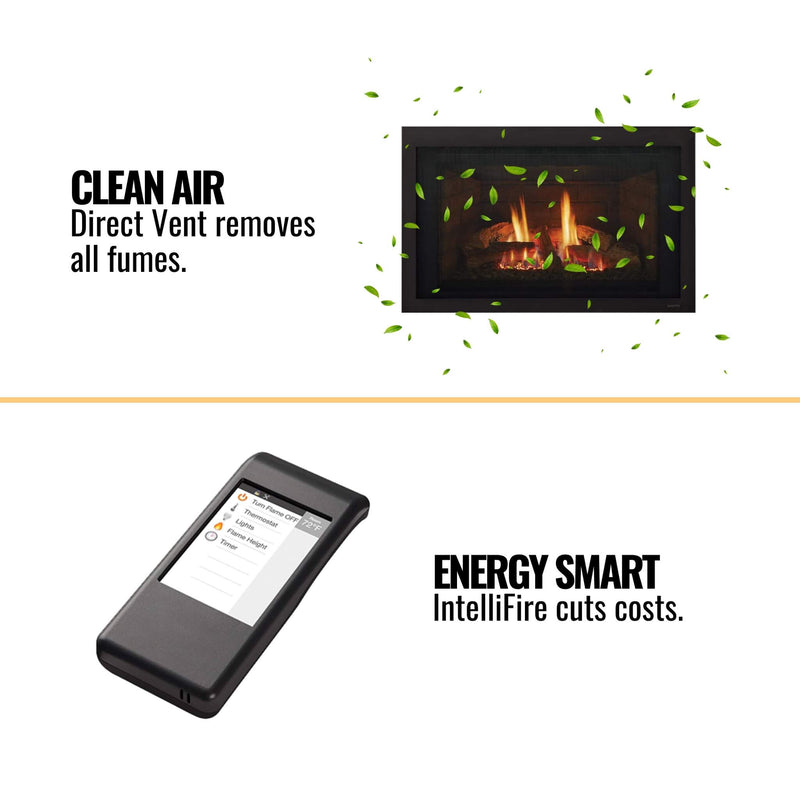 Majestic Jasper 30" Direct Vent Natural Gas Insert [JASPER30IN] (SAK21396)