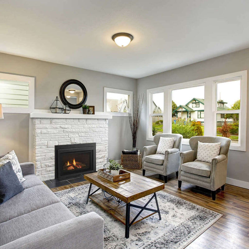 Majestic Jasper 30" Direct Vent Natural Gas Insert [JASPER30IN] (SAK21396)