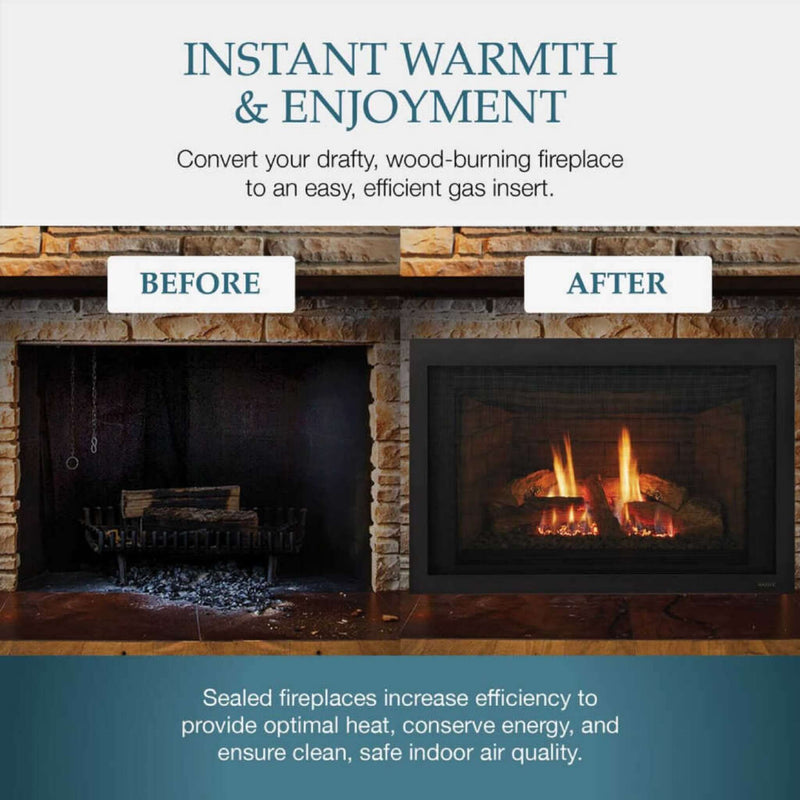 Majestic Jasper 30" Direct Vent Natural Gas Insert [JASPER30IN] (SAK21396)