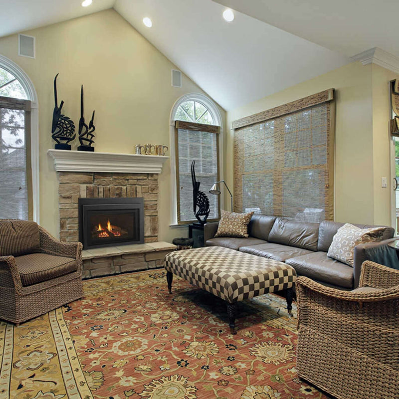 Majestic Jasper 30" Direct Vent Natural Gas Insert [JASPER30IN] (SAK21396)