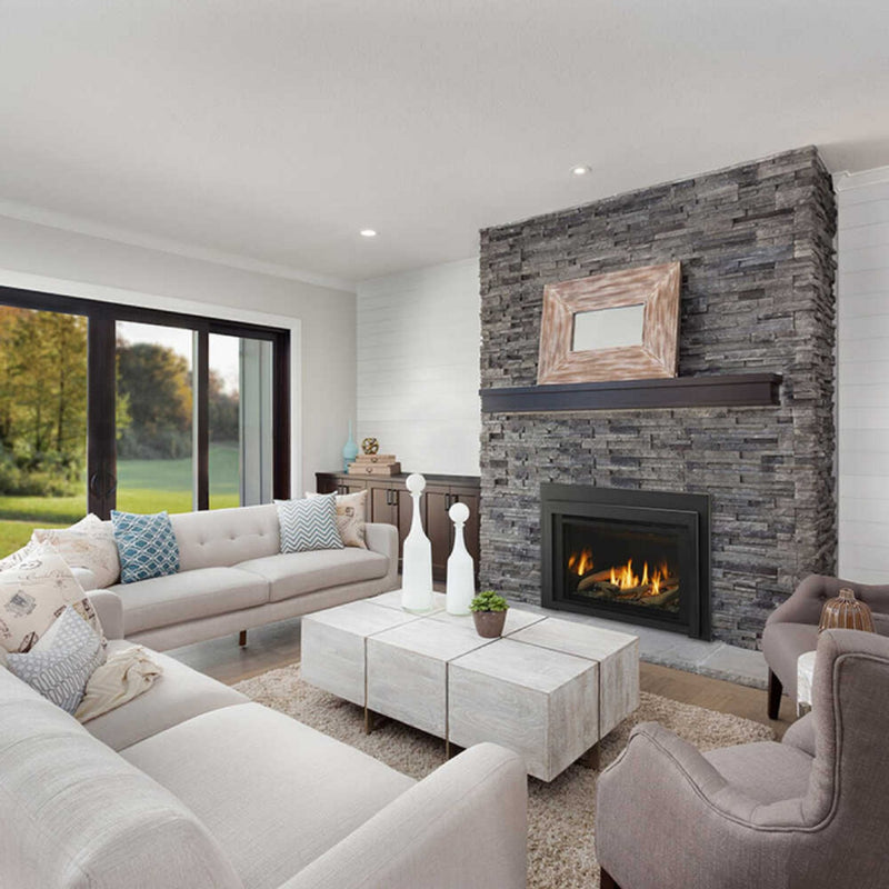 Majestic Ruby 25" Direct Vent Insert [RUBY25IN/IL] (SAK78432)