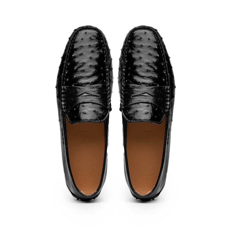 33-100-BLK MONZA Ostrich Quill Driver, Black