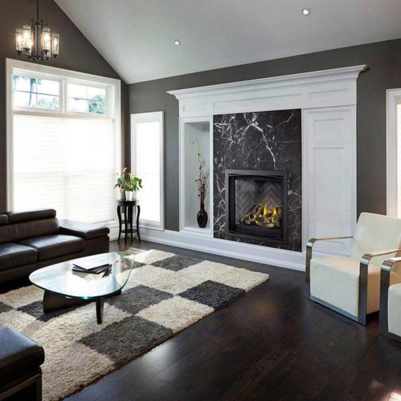 Napoleon Altitude X Direct Vent 42" Propane Fireplace [AX42PTE-1] (SAK72948)