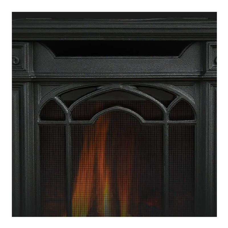 Napoleon Arlington 20 Cast Iron Millivolt Ignition Majolica Brown Natural Gas Stove, 19" [GDS20NNSB] (SAK43798)