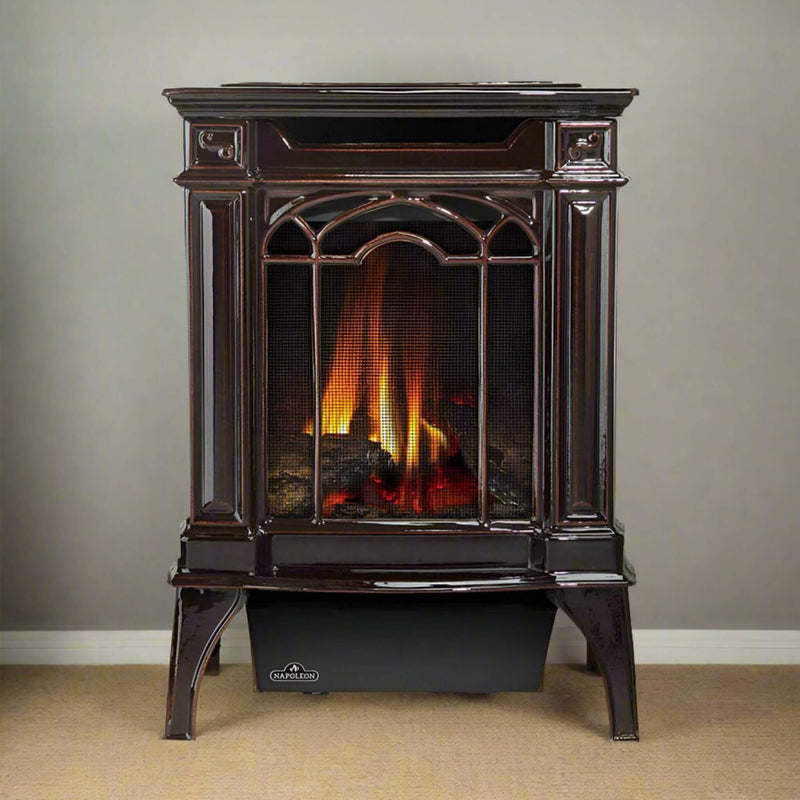 Napoleon Arlington 20 Cast Iron Millivolt Ignition Majolica Brown Natural Gas Stove, 19" [GDS20NNSB] (SAK43798)