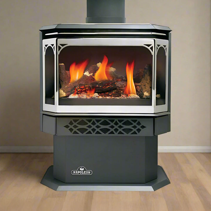 Napoleon Haliburton 50 Direct Vent Millivolt Ignition Compact Natural Gas Stove, 22-Inch [GDS28-1NSB] (SAK81523)