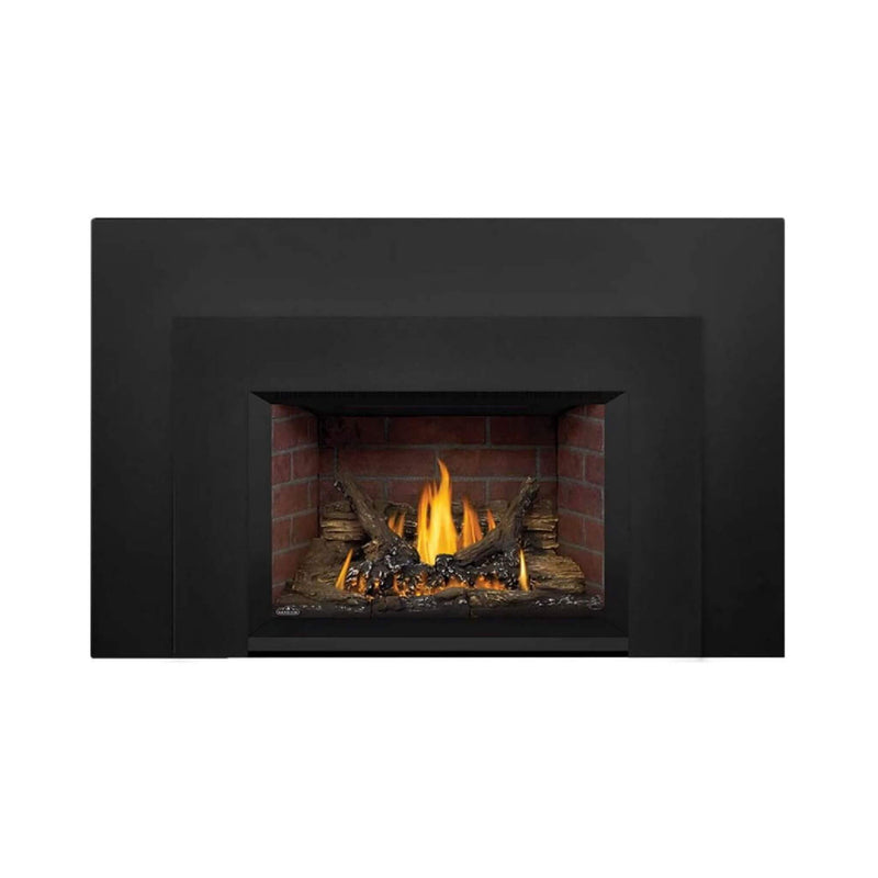 Napoleon Oakville 3 28-Inch Direct Vent Natural Gas Fireplace Insert [GDI3N-1] (SAK25498)